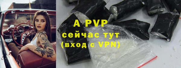 стафф Козловка