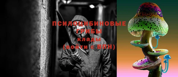 стафф Козловка