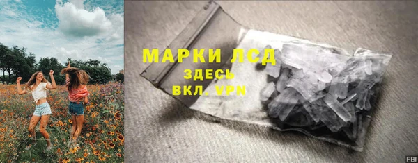 стафф Козловка