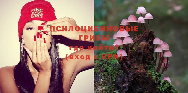 прущие крисы Кодинск