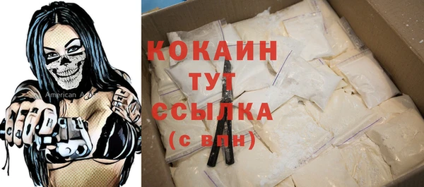 стафф Козловка