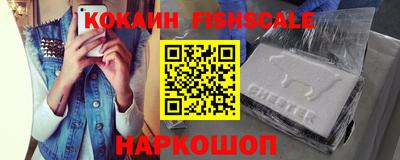 ешки Кингисепп