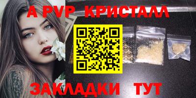 ешки Кингисепп