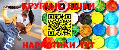 ешки Кингисепп