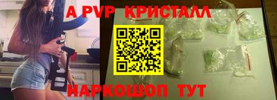 ешки Кингисепп