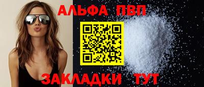 ешки Кингисепп